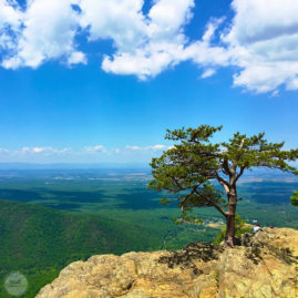 Ravens Roost, Blue Ridge Mountains Virginia