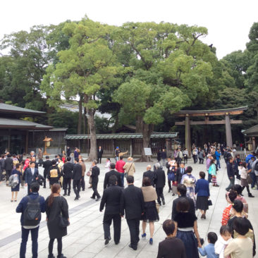 Meiji Shrine