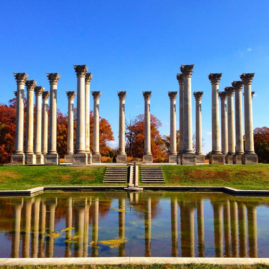 The Capitol Columns in Washington, DC
