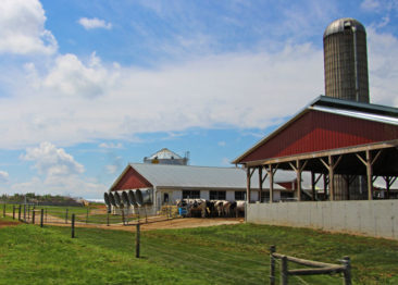 Farms in Amish Country