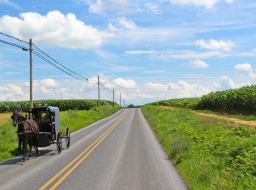 Amish Horse and Buggy in Pennsylvania