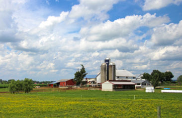 Amish Farmlands