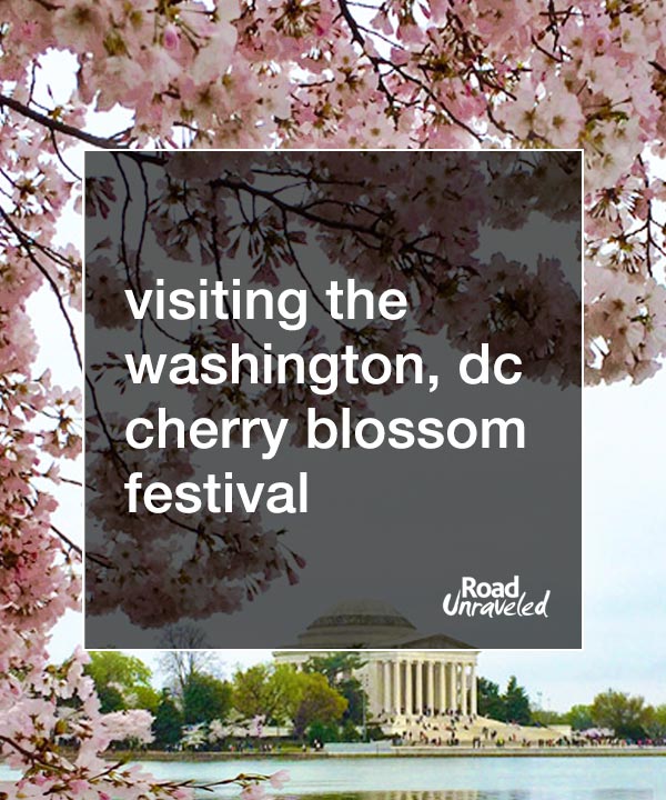 Visiting the Washington, DC Cherry Blossoms