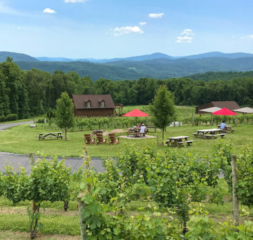 Fox Meadow Winery, Virginia