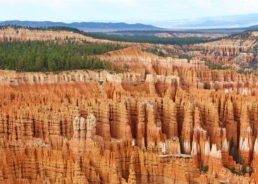 Rows of Hoodoos at Bryce Canyon National Park
