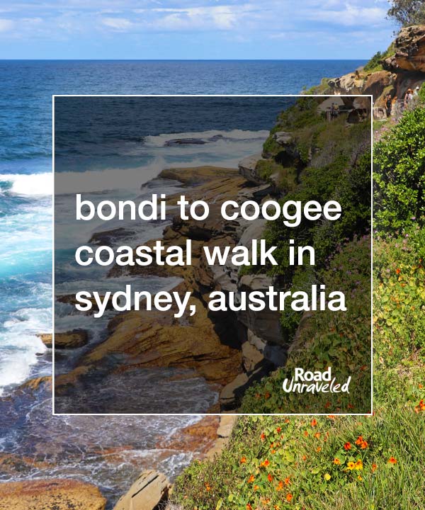 Why the Bondi to Coogee Walk Should Be on Your Sydney Itinerary