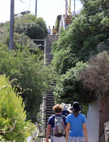 Steep stairs near Gordons Bay on the Bondi to Coogee Coastal Walk