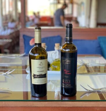 Popova Kula Winery in North Macedonia