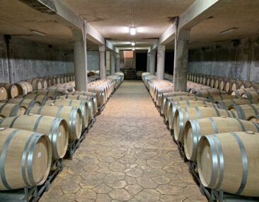 Bulgarian Wine Cellar