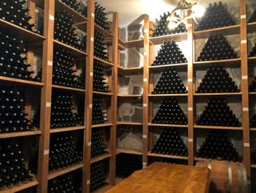 Wine Cellar in Bulgaria