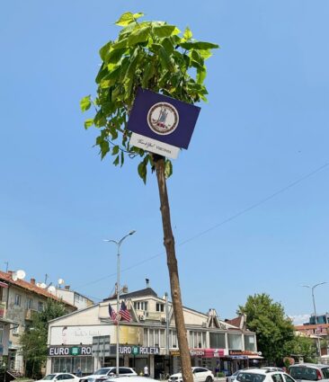 Virginia flag in Kosovo