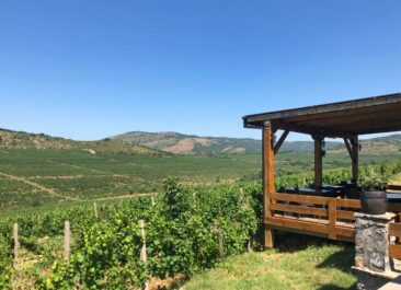 North Macedonia Wine Country