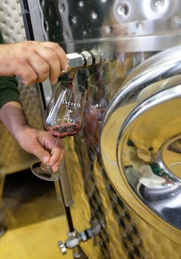 Wine straight from the tap!