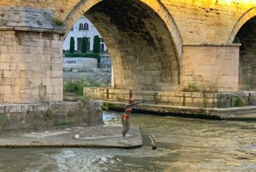 Diving Statue near the Stone Bridge in Skopje