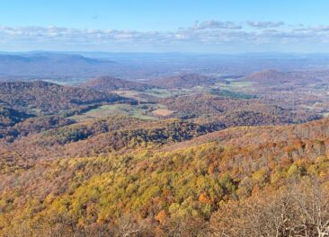 Shenandoah National Park Foliage