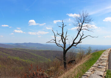 Shenandoah Skyline Drive in Virginia