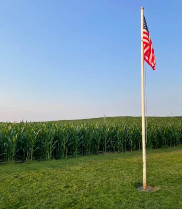 Field of Dreams Cornfields
