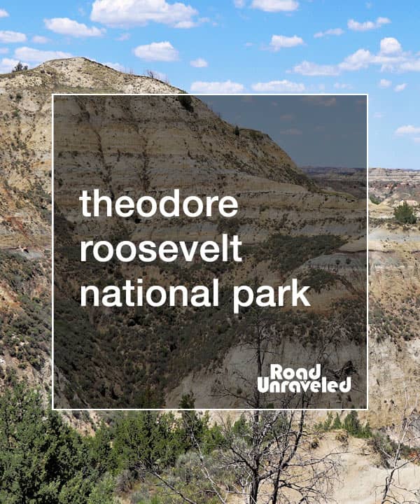 1 Day at Theodore Roosevelt National Park