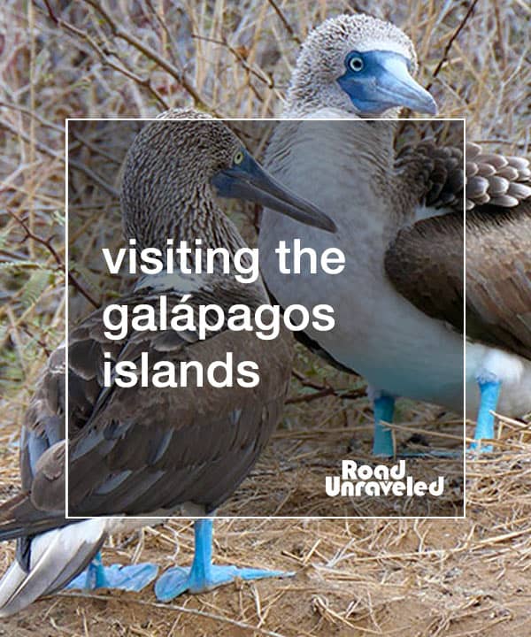 Visiting the Galapagos Islands